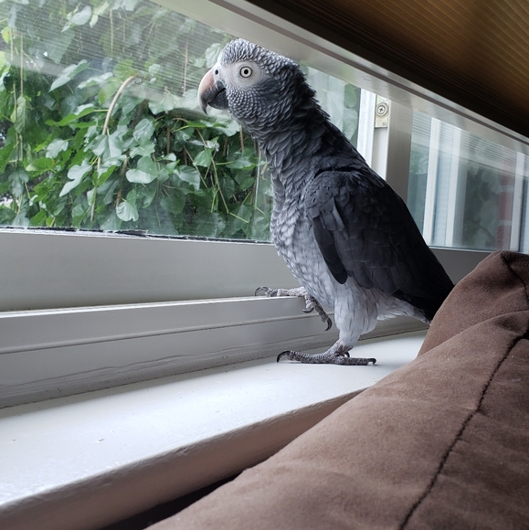 Meet your Posher, Nikki - Picture 6 of 8